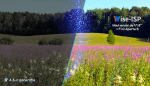 Camera IP 4MP, Wise-ISP, ColorHunter, lentila 2.8mm, WL 30m, Mic, color 24/7 - UNV - imagine 4