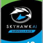 Hard Disk Seagate SkyHawk 10TB 24/7 - Seagate ST10000VE001