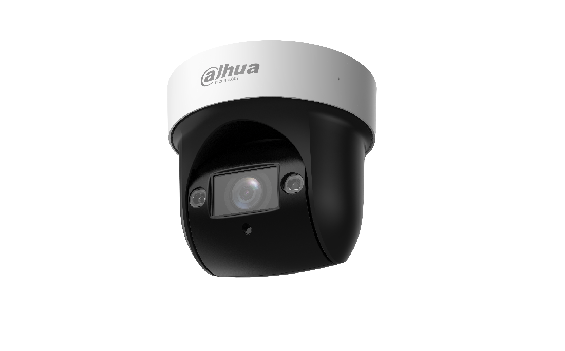 prod_19996_1 DHA PTZ NTW IP CAM 4MP SD29404DB-GNY - imagine 1